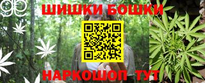 крисы Пугачёв