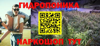 крисы Пугачёв