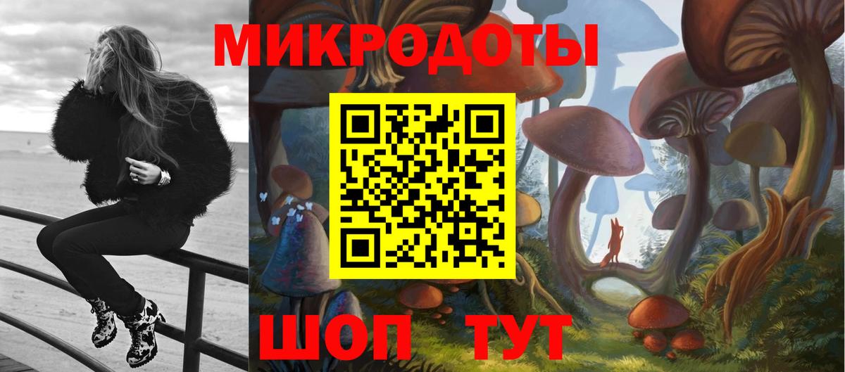 Петрозаводск  как найти закладки  Вход с VPN  Галлюциногенные грибы ЛСД 