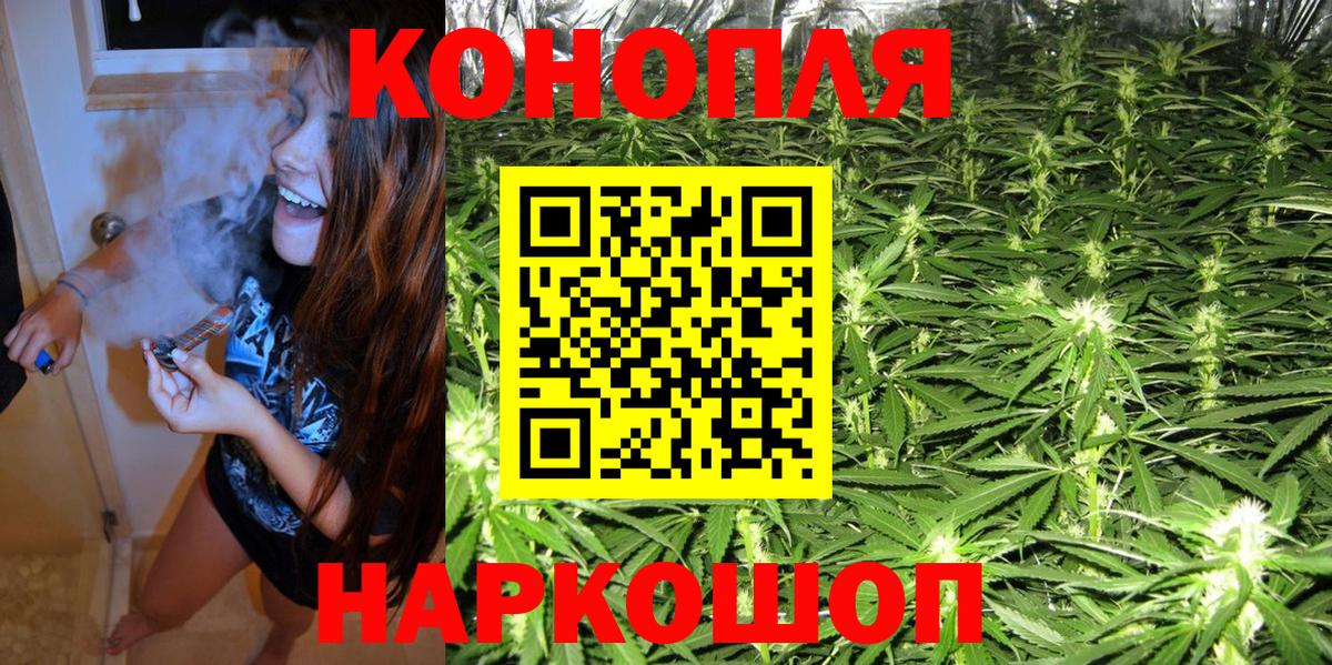 МАРИХУАНА семена Петрозаводск